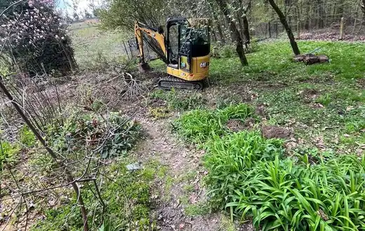 Koparka podczas prac w ogrodzie i karczowania terenu